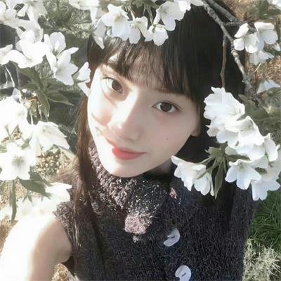 好家伙先生